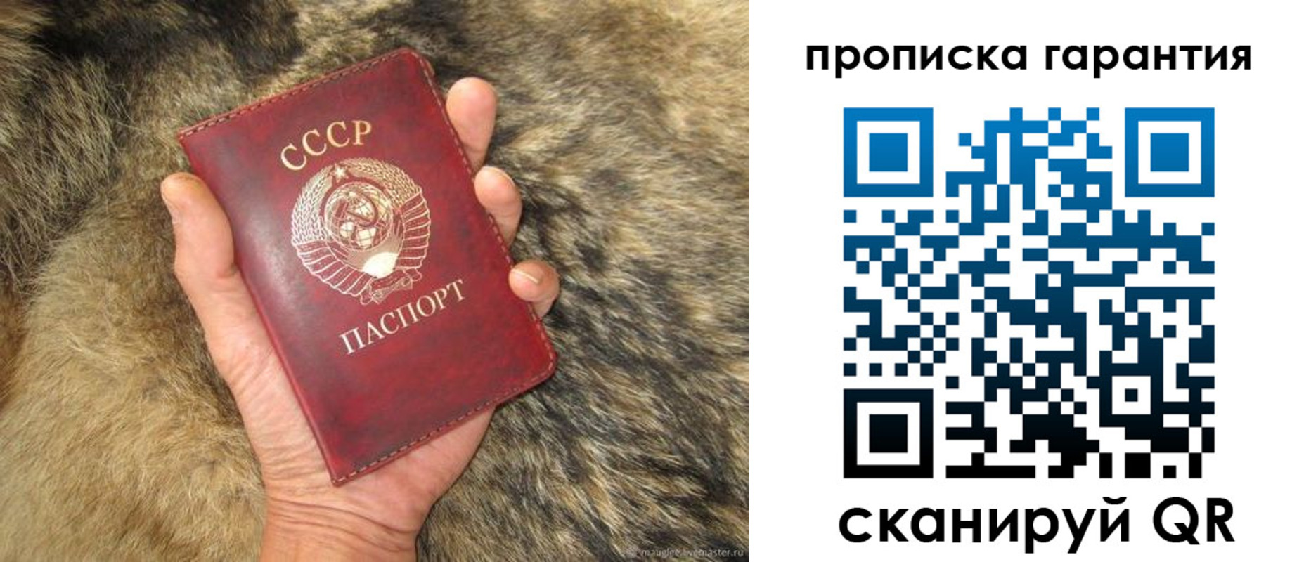 временная регистрация гарантия в Немане